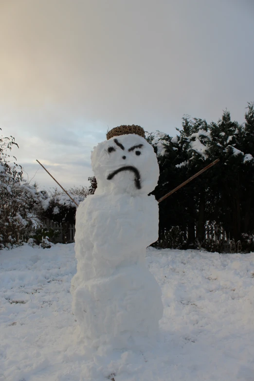 a snowman that is in the snow with a frown on his face