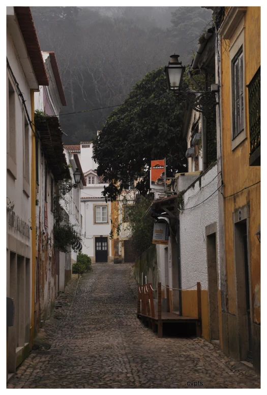 an alley with a cobblestone paved walkway between two buildings