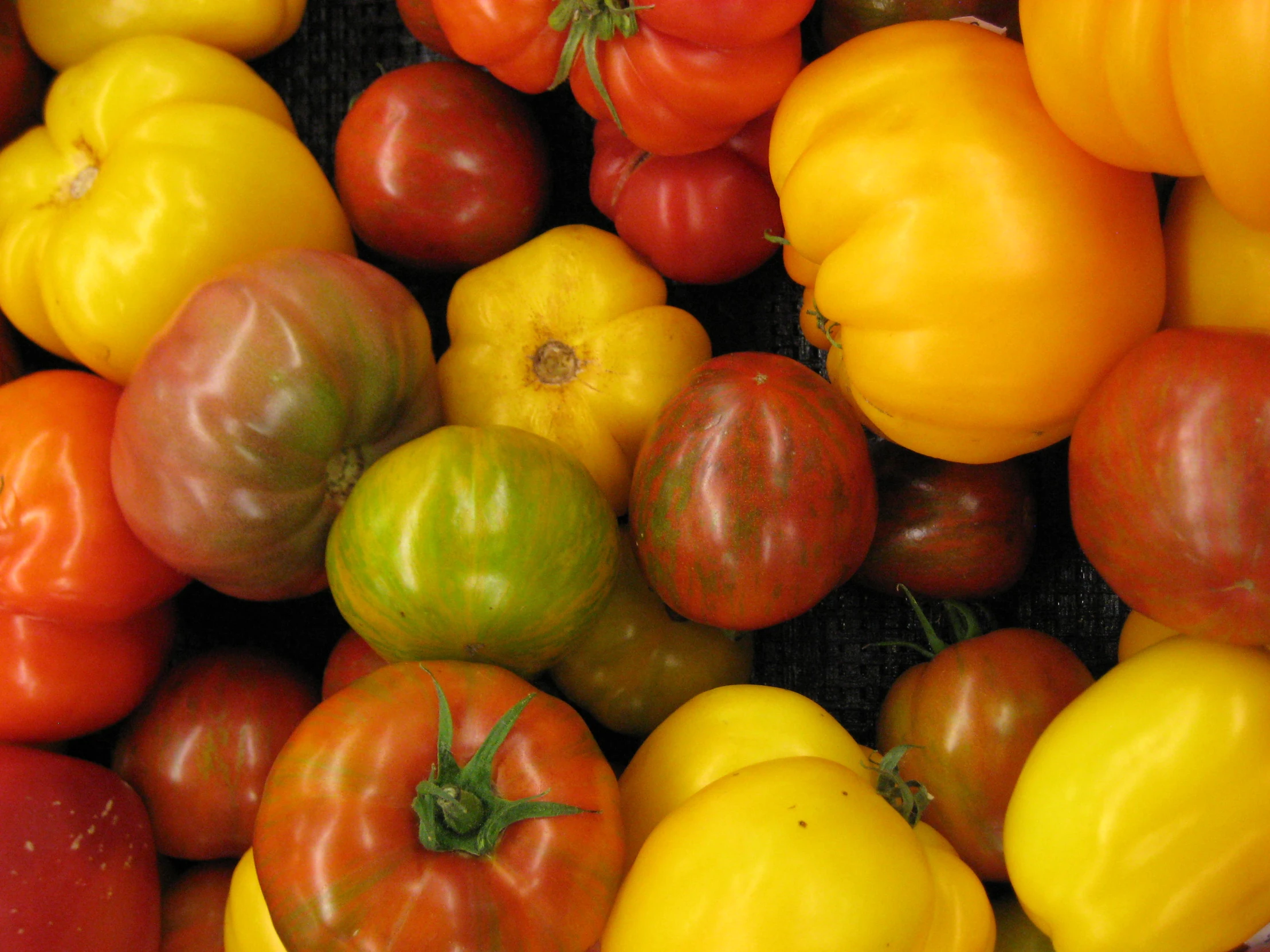 the top part of a bunch of fruits and vegetables