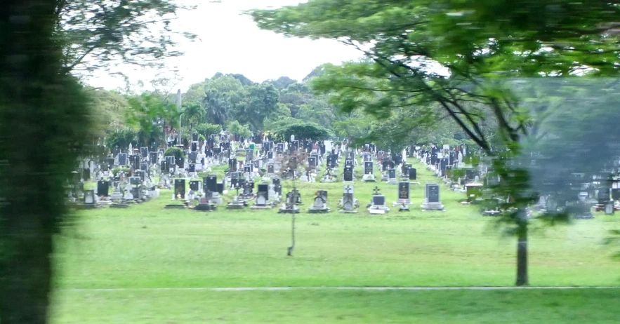 a grassy cemetery with headstones in the background
