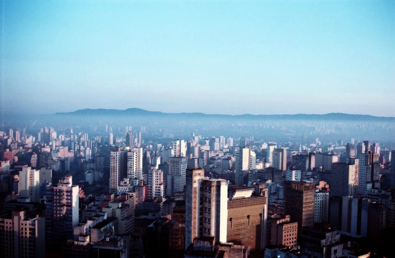 an urban city from above with some trees in the foreground