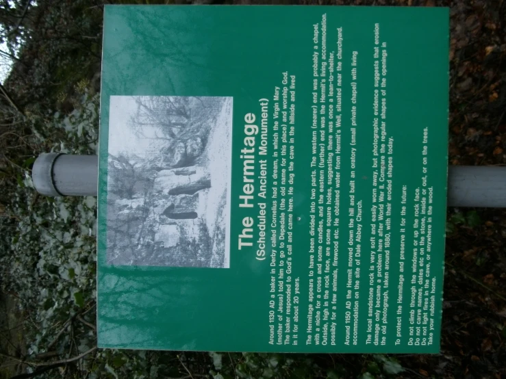 a green sign is displayed near trees