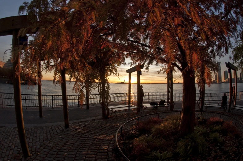 the trees and benches overlook a body of water