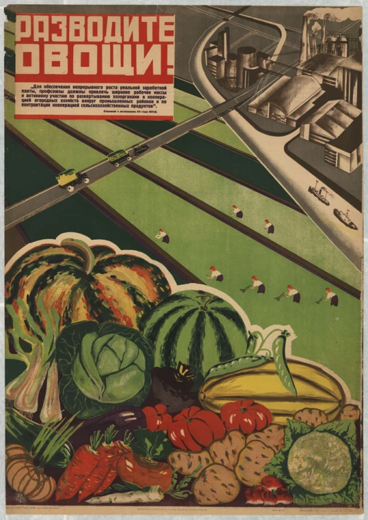 an illustration of a plane flying over various fruits and vegetables