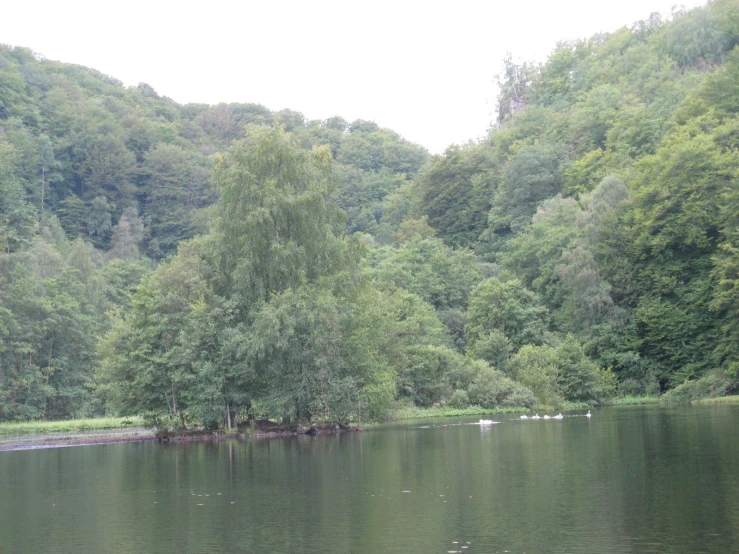 a small island in the middle of a lake near some trees