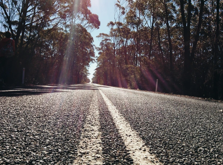 a road with no traffic at all and trees on the sides