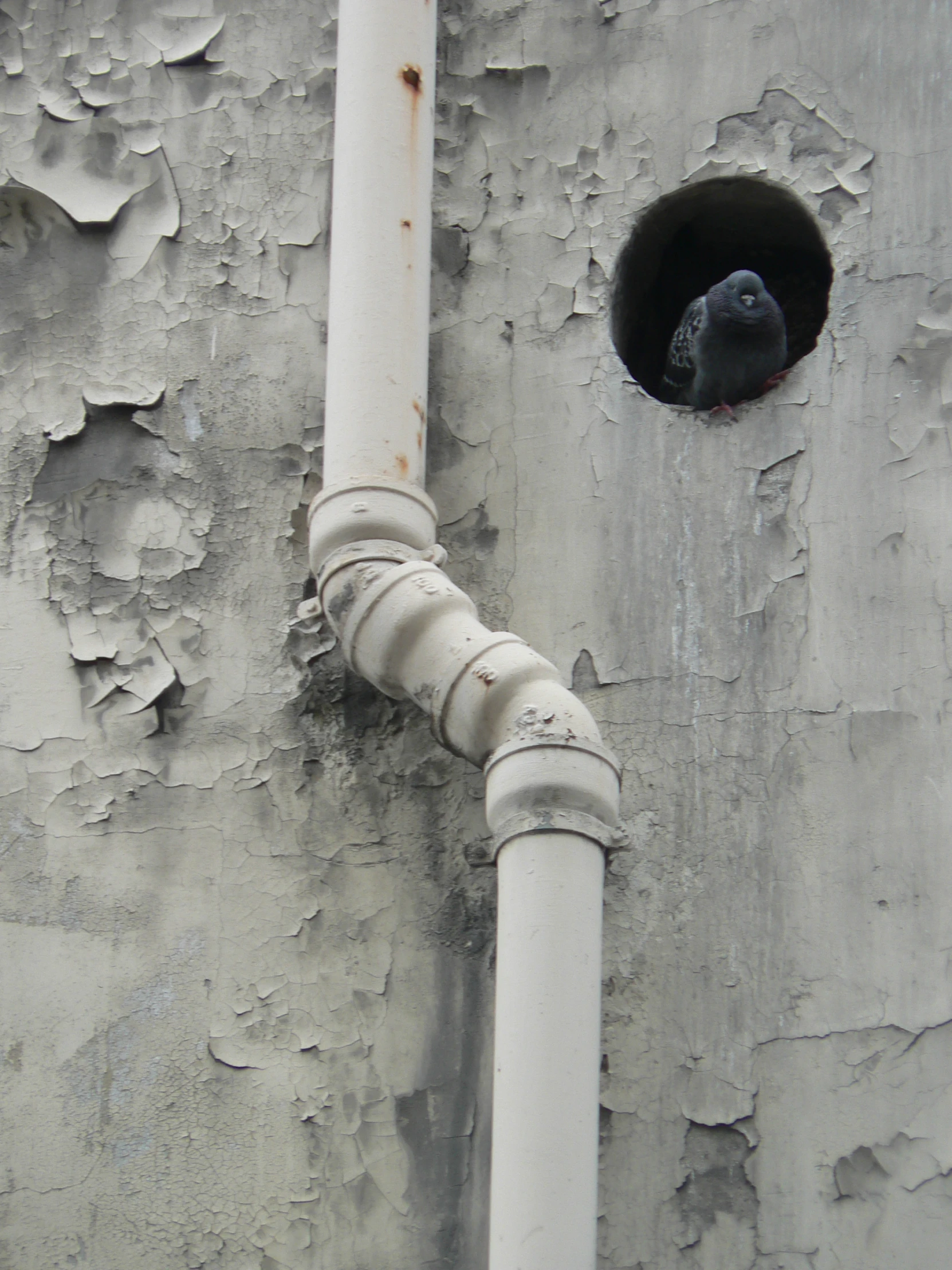 a white pipe attached to the side of an old building