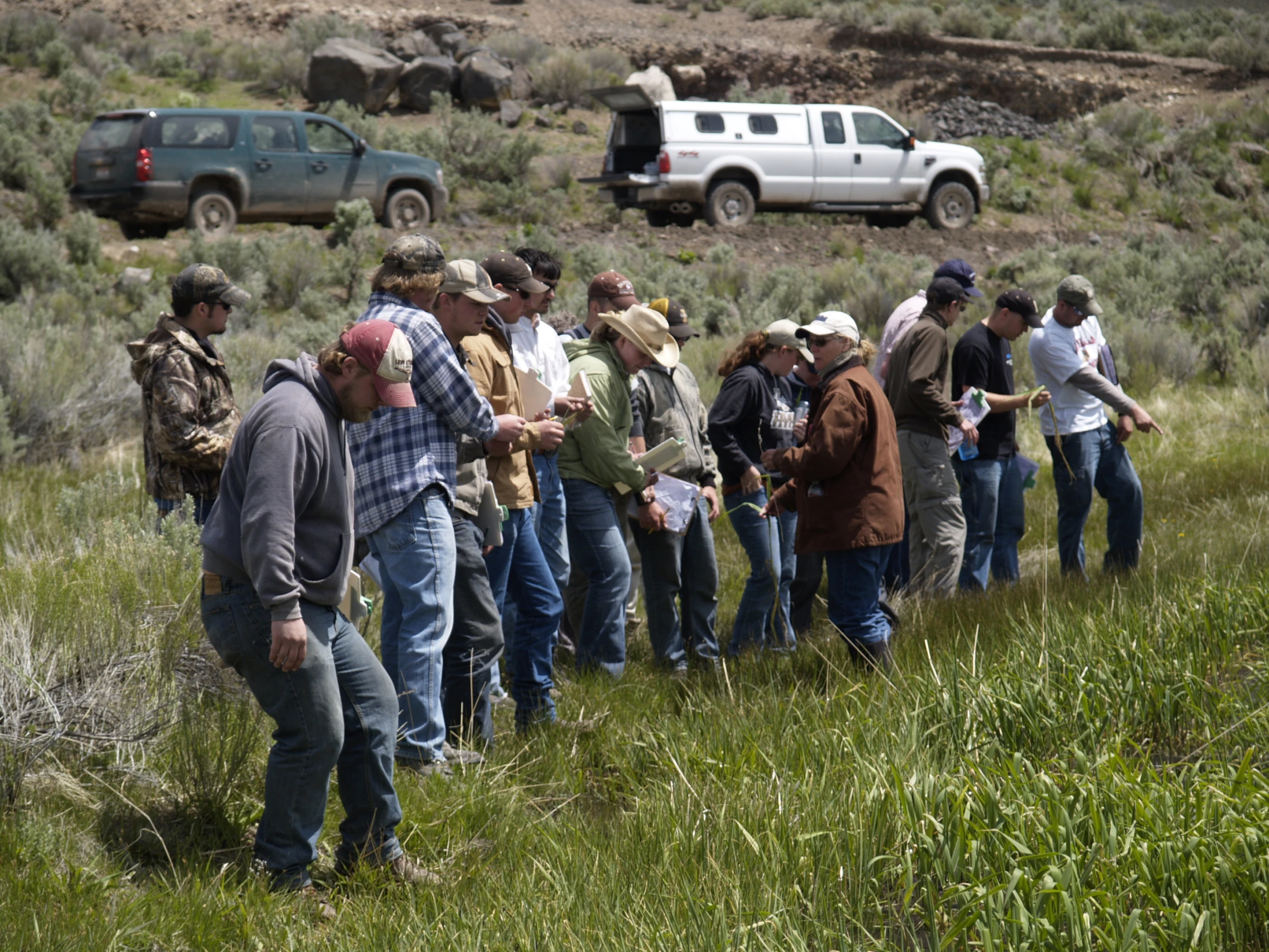 a group of people that are standing in the grass