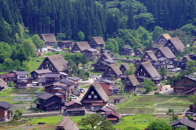 a village with thatched roofs in the mountains