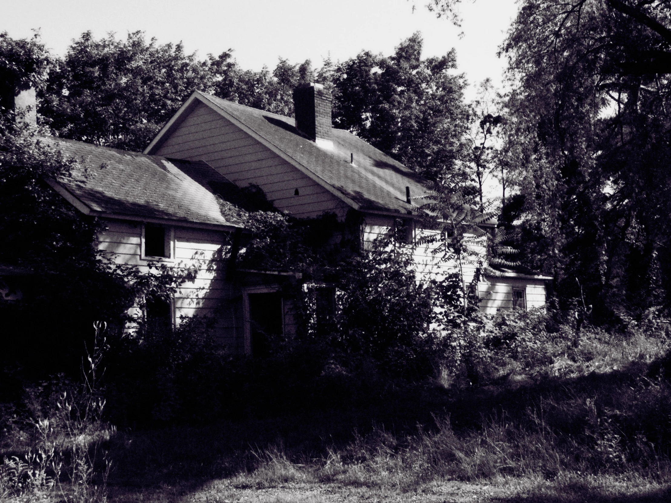 old country house with trees and bushes surrounding it