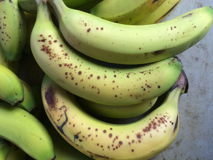 some ripe bananas are on top of a table