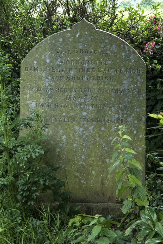 a small monument in the middle of a grassy area