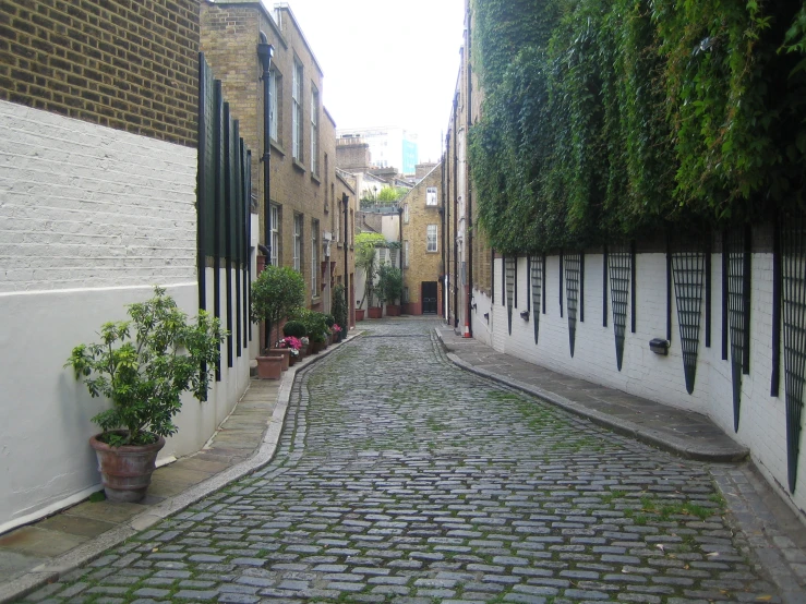 a cobblestone street leads to potted plants