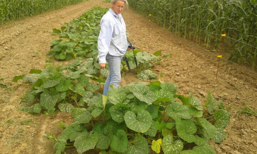 there is a woman standing in a field next to several plants