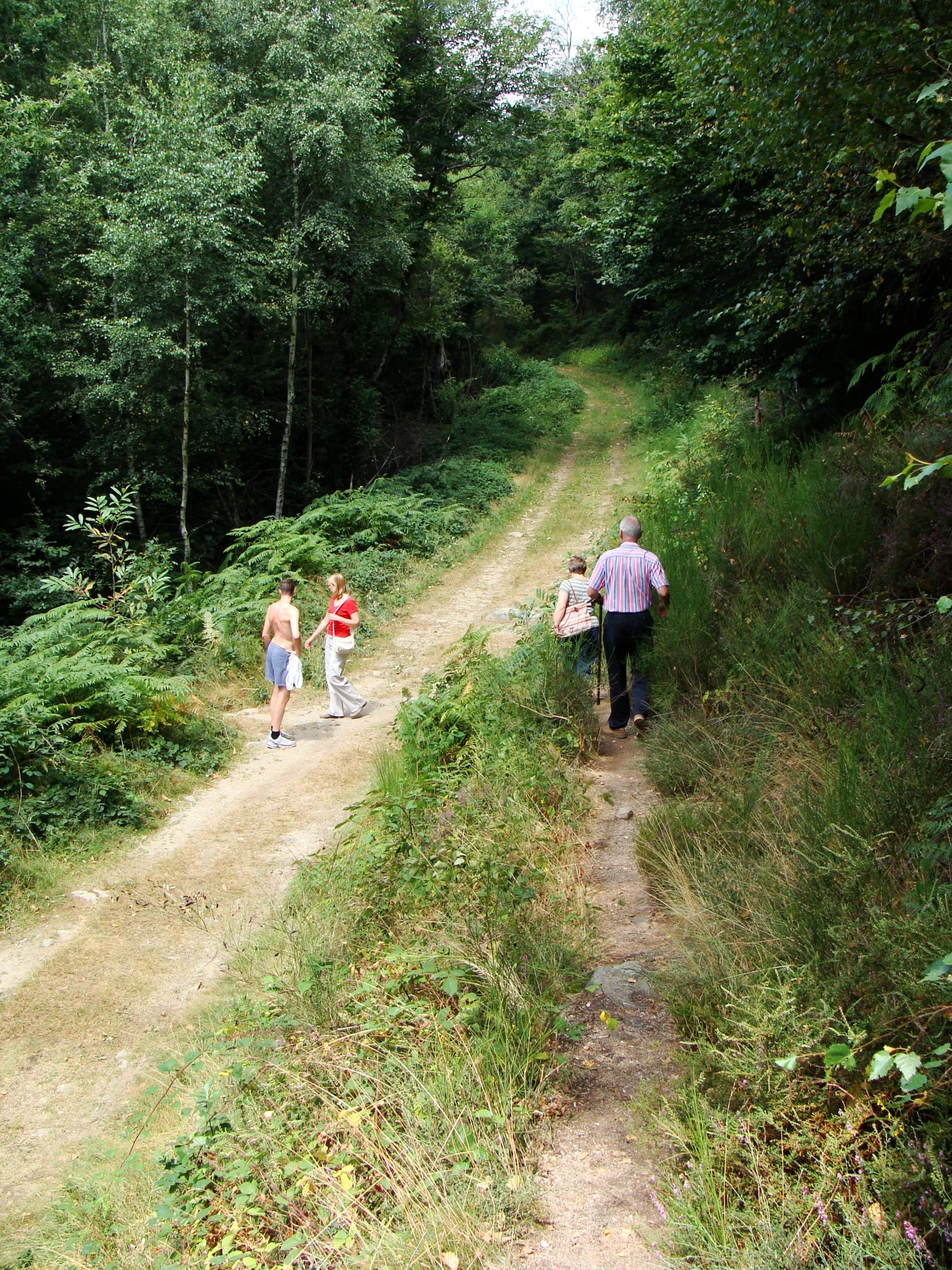 three people and one dog walking down a dirt road