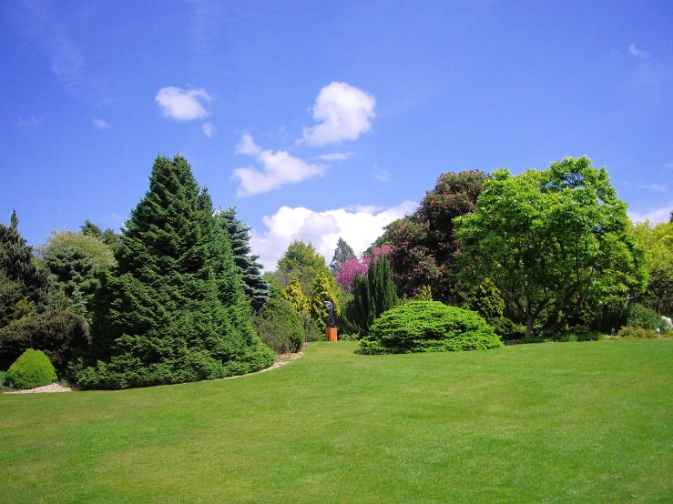 this lush green field is surrounded by trees