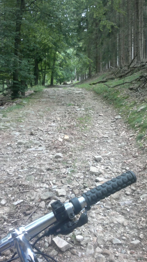 bicycle handle bar at the end of a path with trees in background