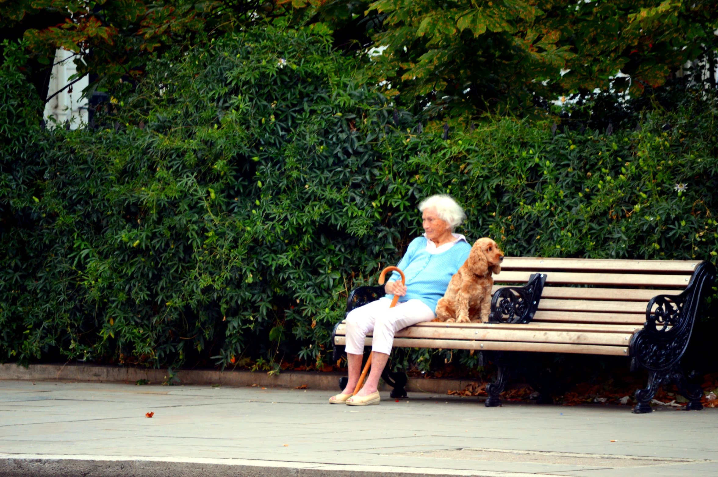 a woman sitting on top of a bench next to a dog