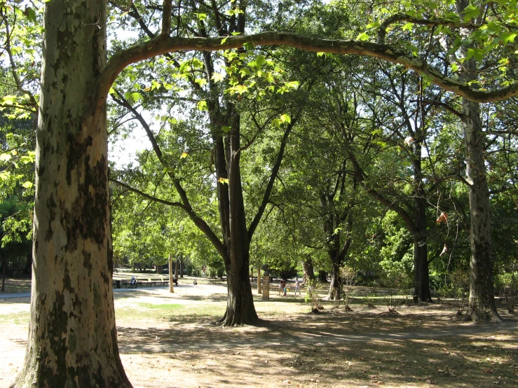 a park with some trees in the background and people on bikes