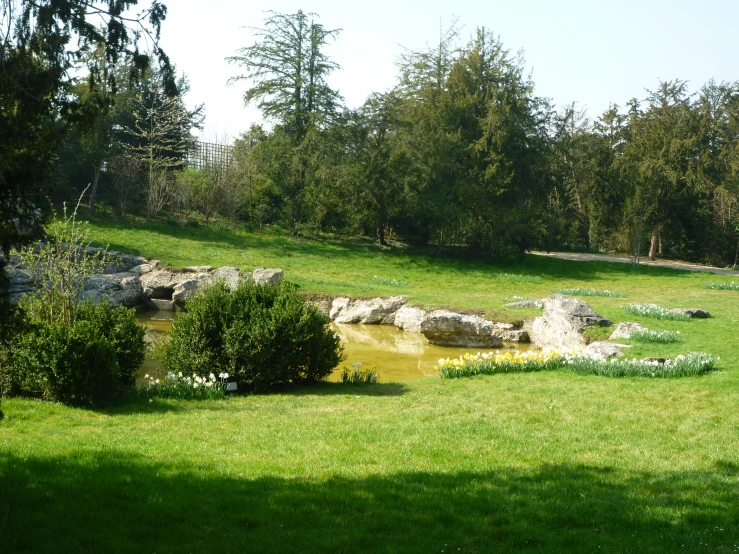 the water has many rocks by the grass