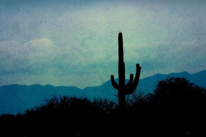 a silhouetted sagua cactus against a dark, cloudy sky