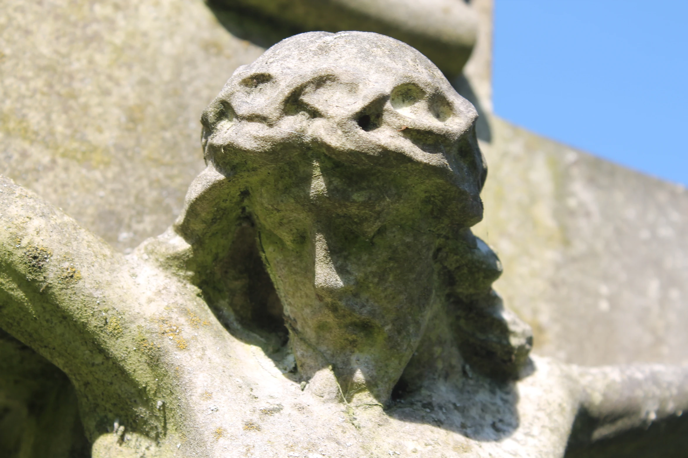 this close up image shows the head of a marble statue