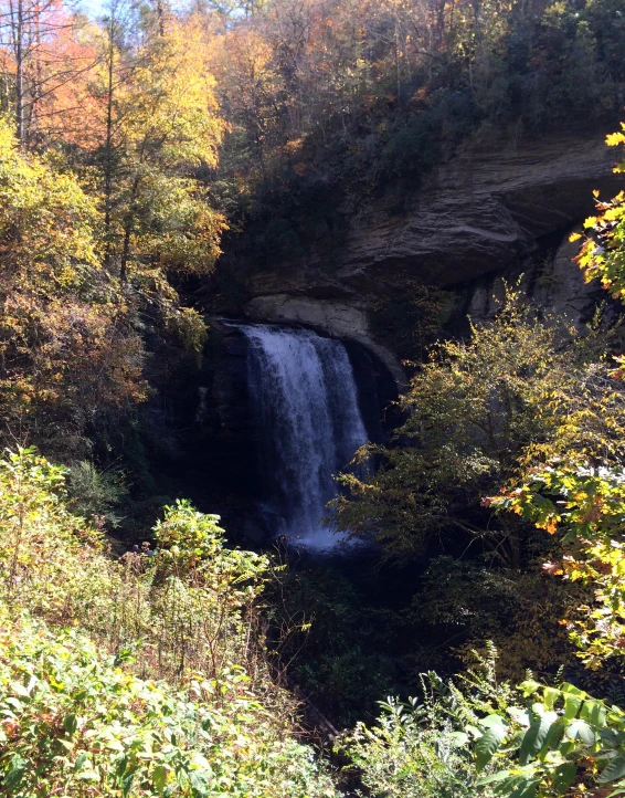 a waterfall is surrounded by forest in the wilderness