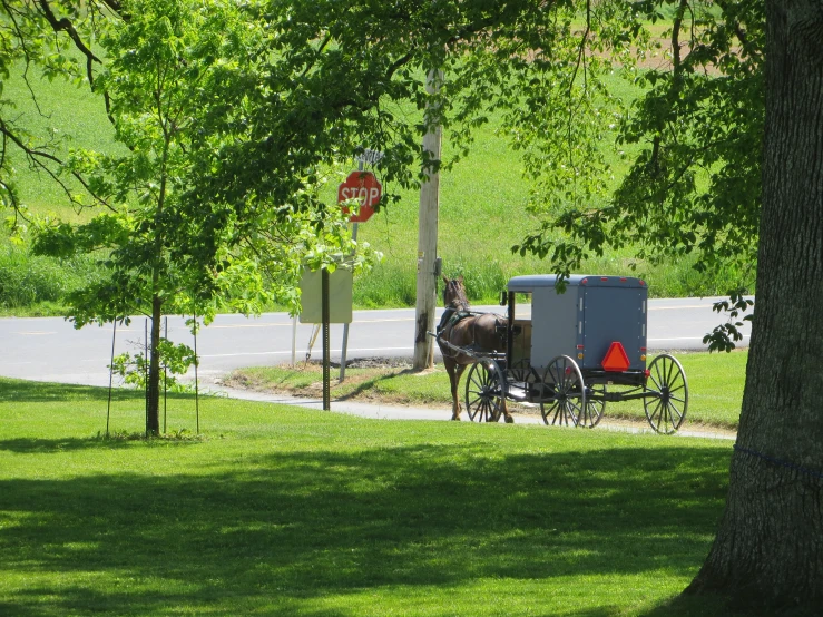 a horse drawn carriage on a street with trees