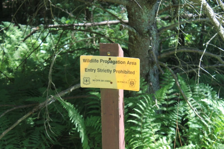 the signs on the tree indicate where wildlife can be found