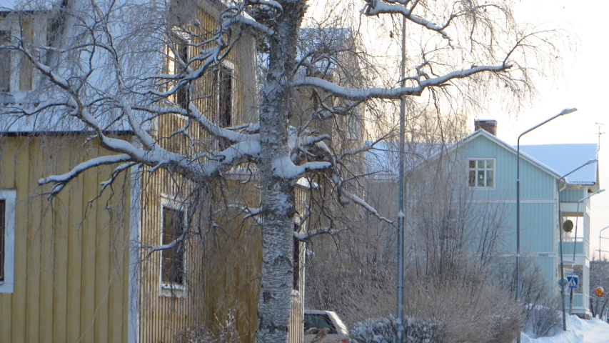 the street is very snow covered and there are trees in front of the building