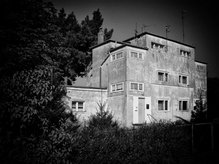 a very big old building with some bushes near by