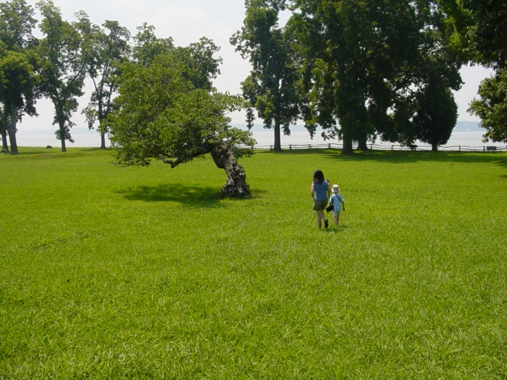 two people walking across a field with trees in the background