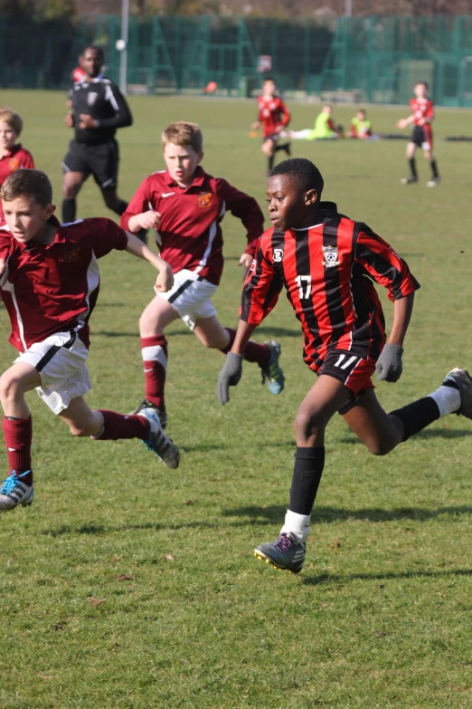 boys play soccer on the grass on a sunny day