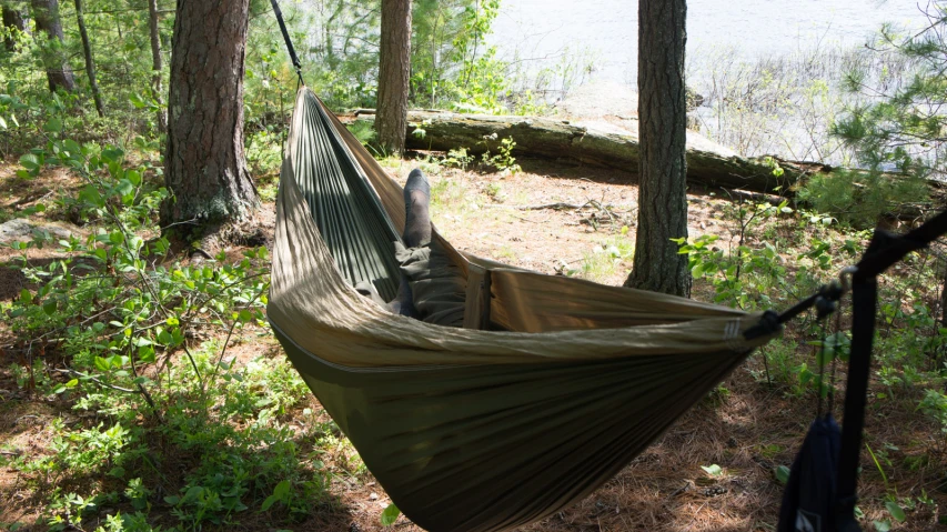 a man laying in a hammock under trees
