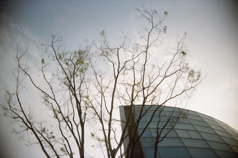 the view of a building with trees around