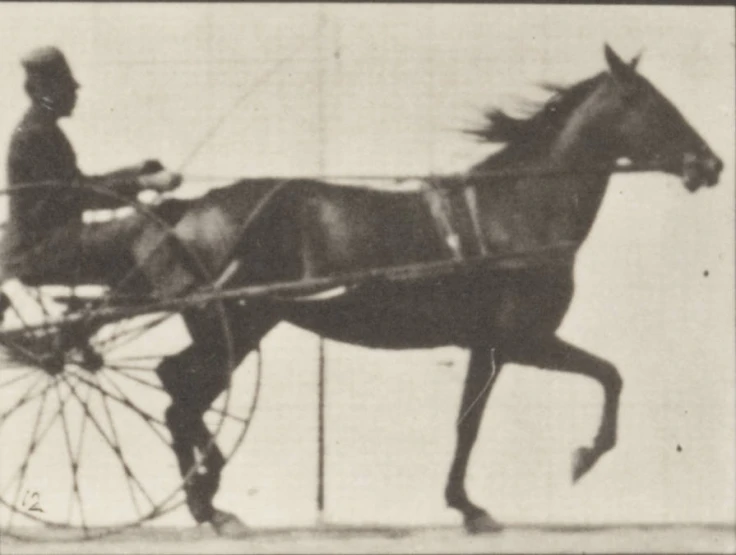 a black and white po of a horse and buggy