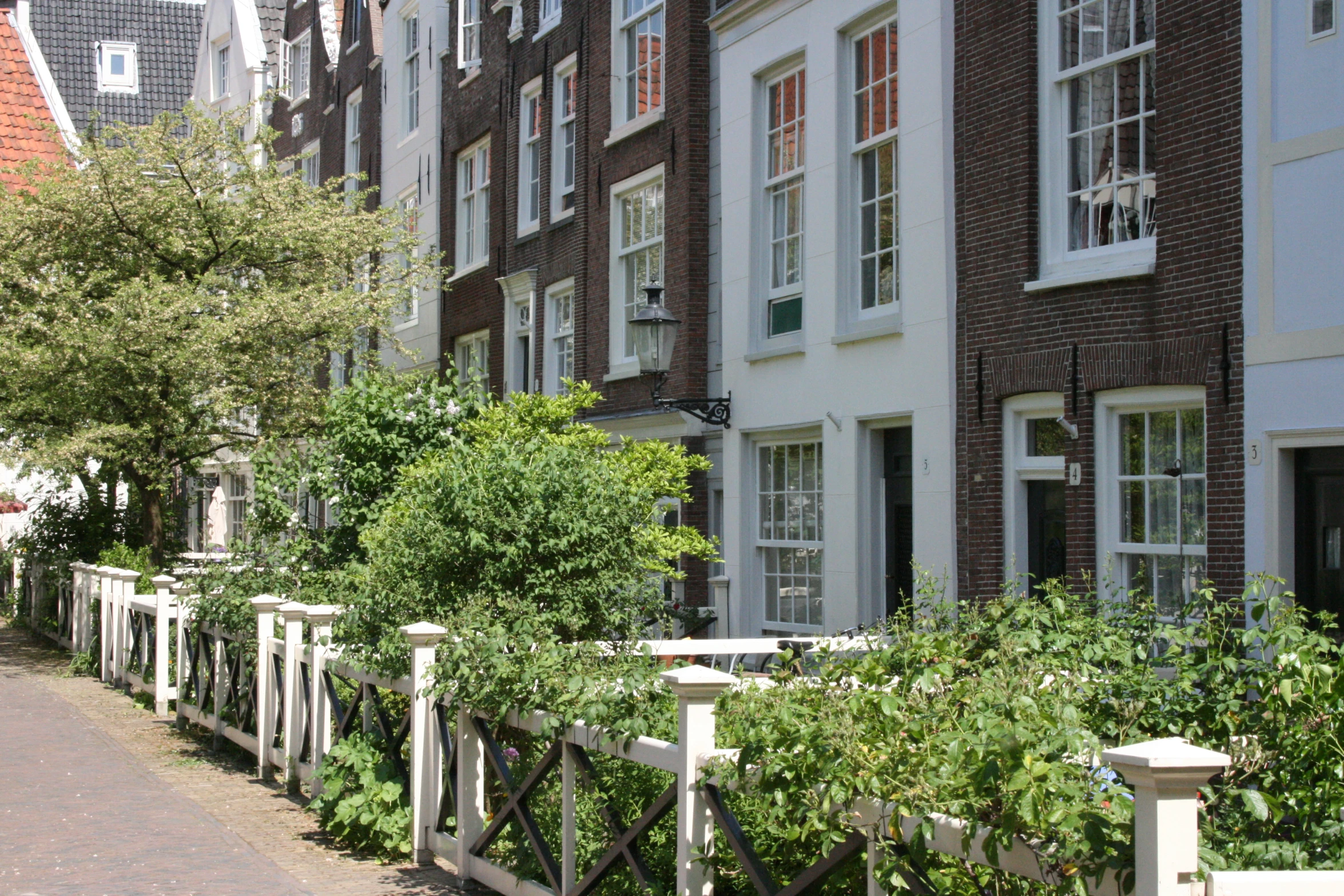 many small houses with trees lining the sides of the road