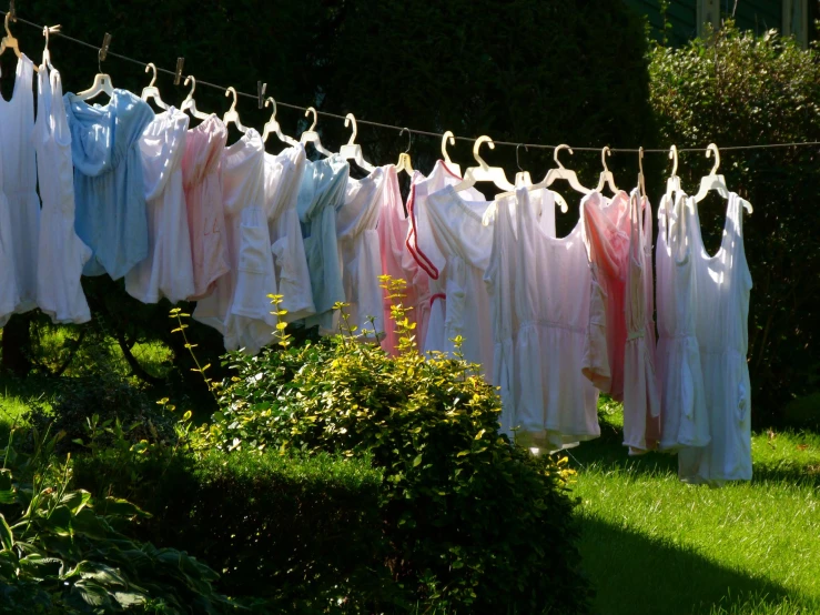 clothes hanging on clothesline on top of grass
