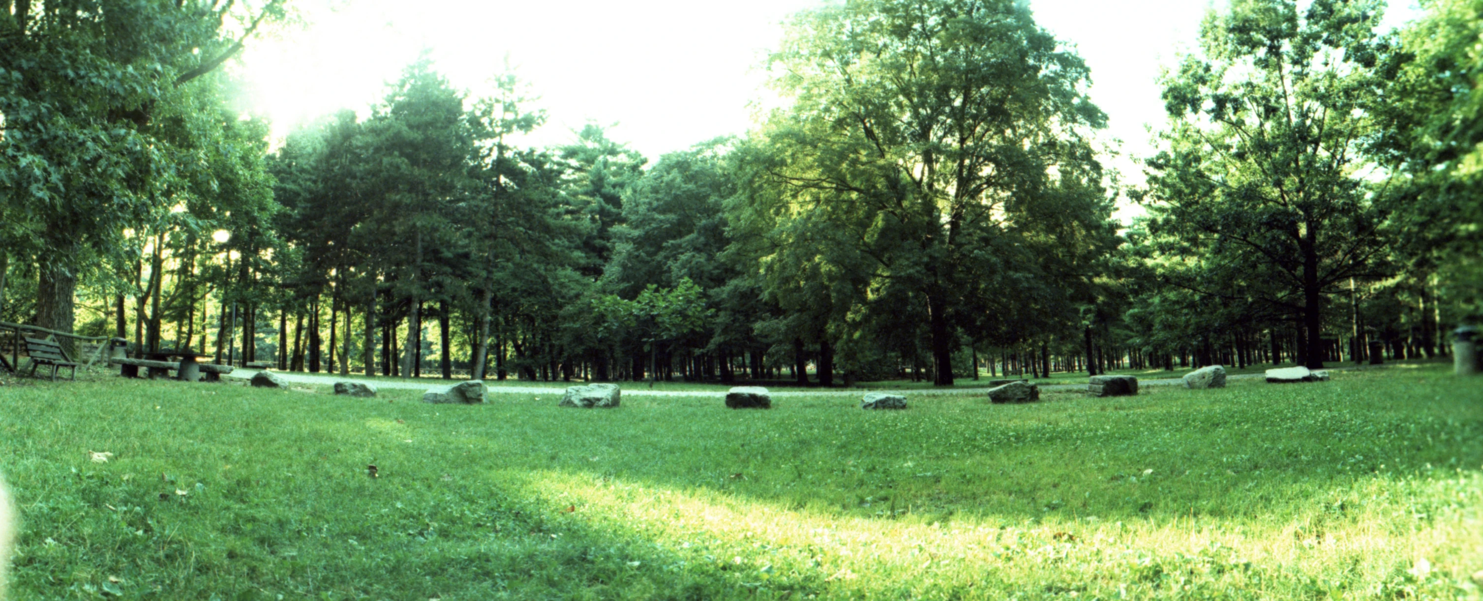 a field with sheep laying and grazing on it