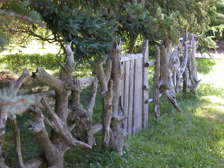 a group of wood fence posts and fences on grass