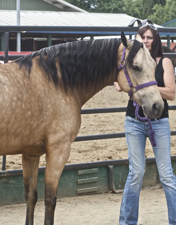 a woman holding the reigns of a horse at the gate