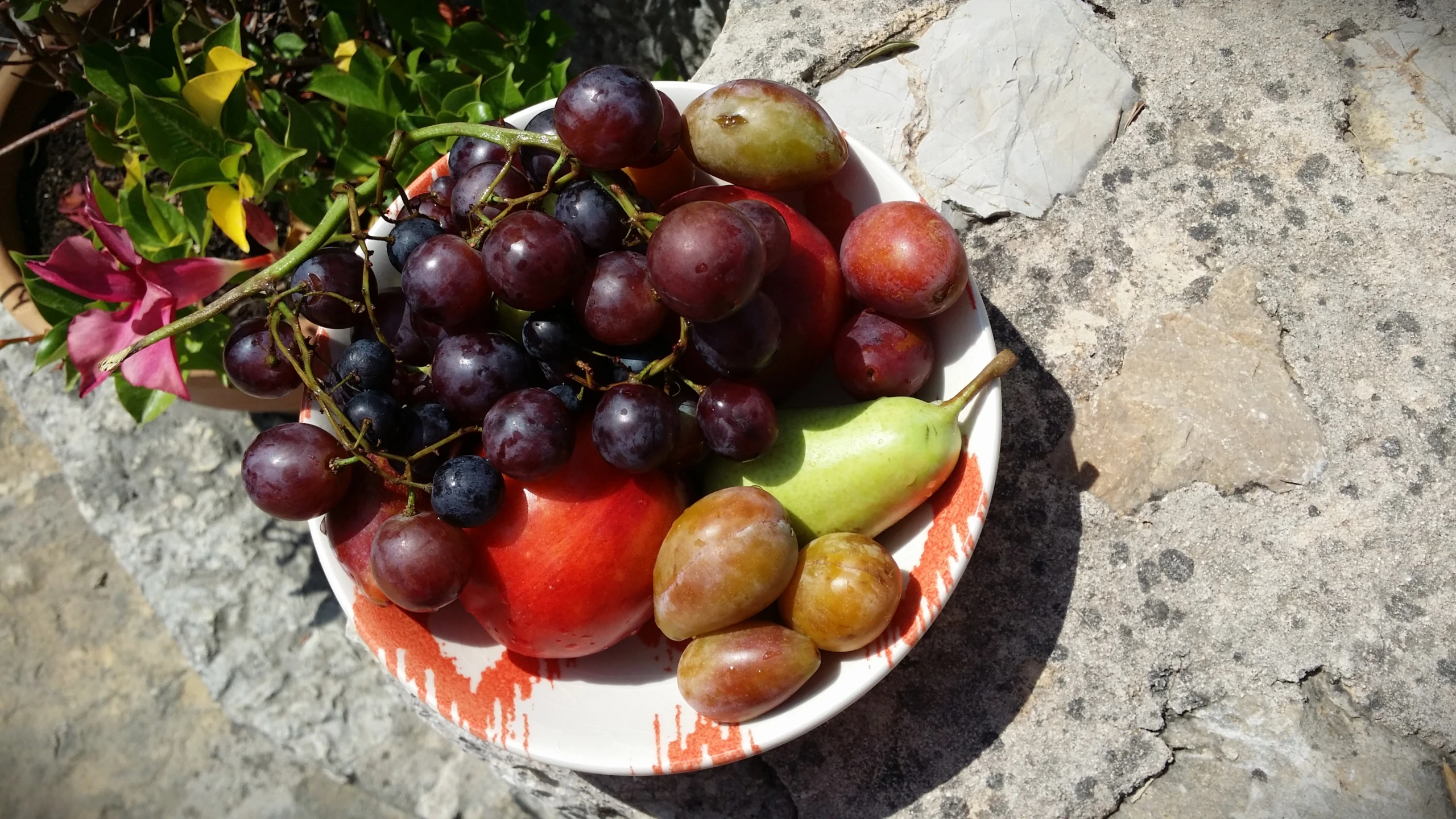 a plate full of assorted fruits on a table