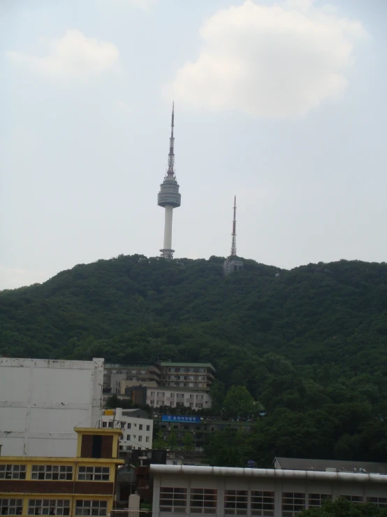 a hill with trees and a cityscape in the background