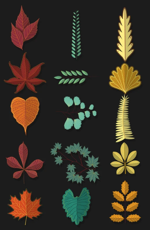 many leaf shapes and patterns in different colors