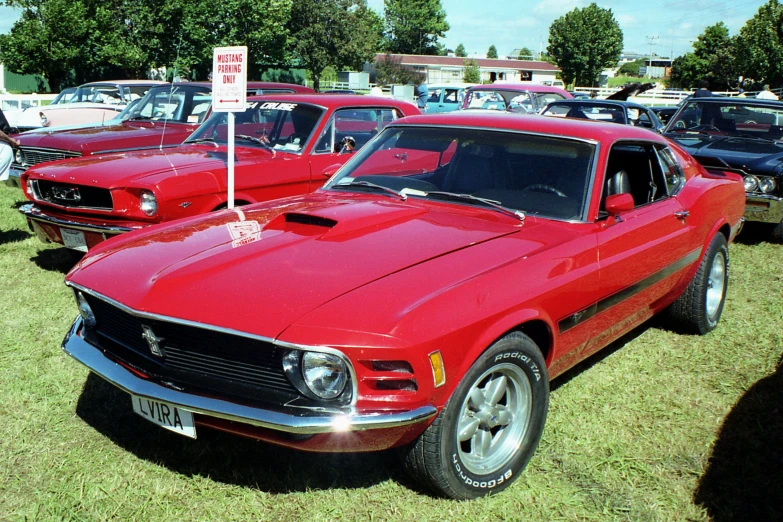 a red mustang in a field of vintage mustangs