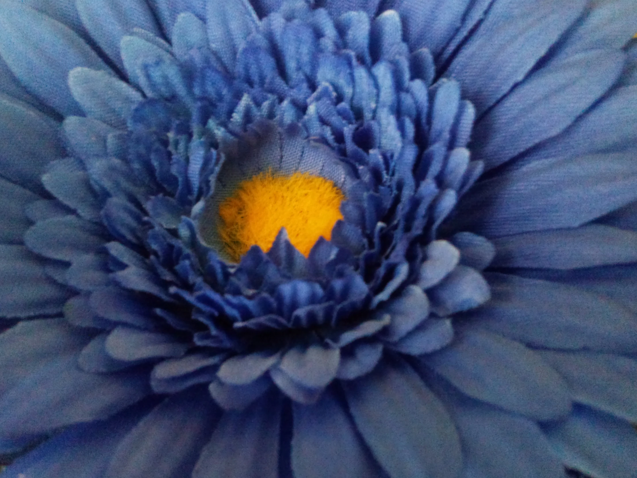 an up close view of a flower that has purple petals