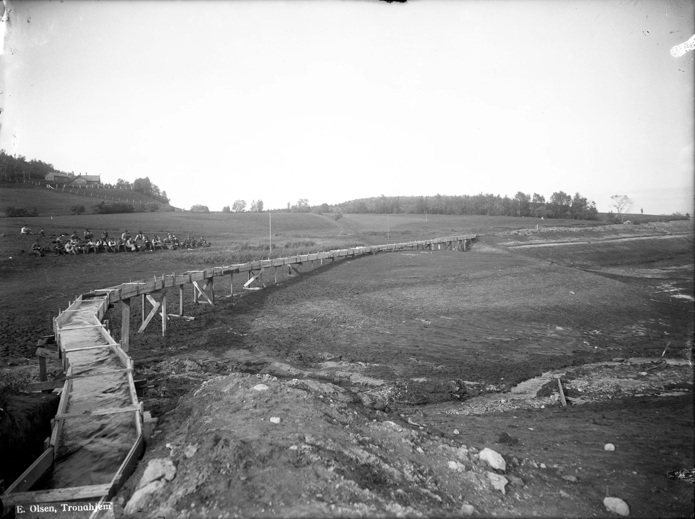 the large field has many trees on it