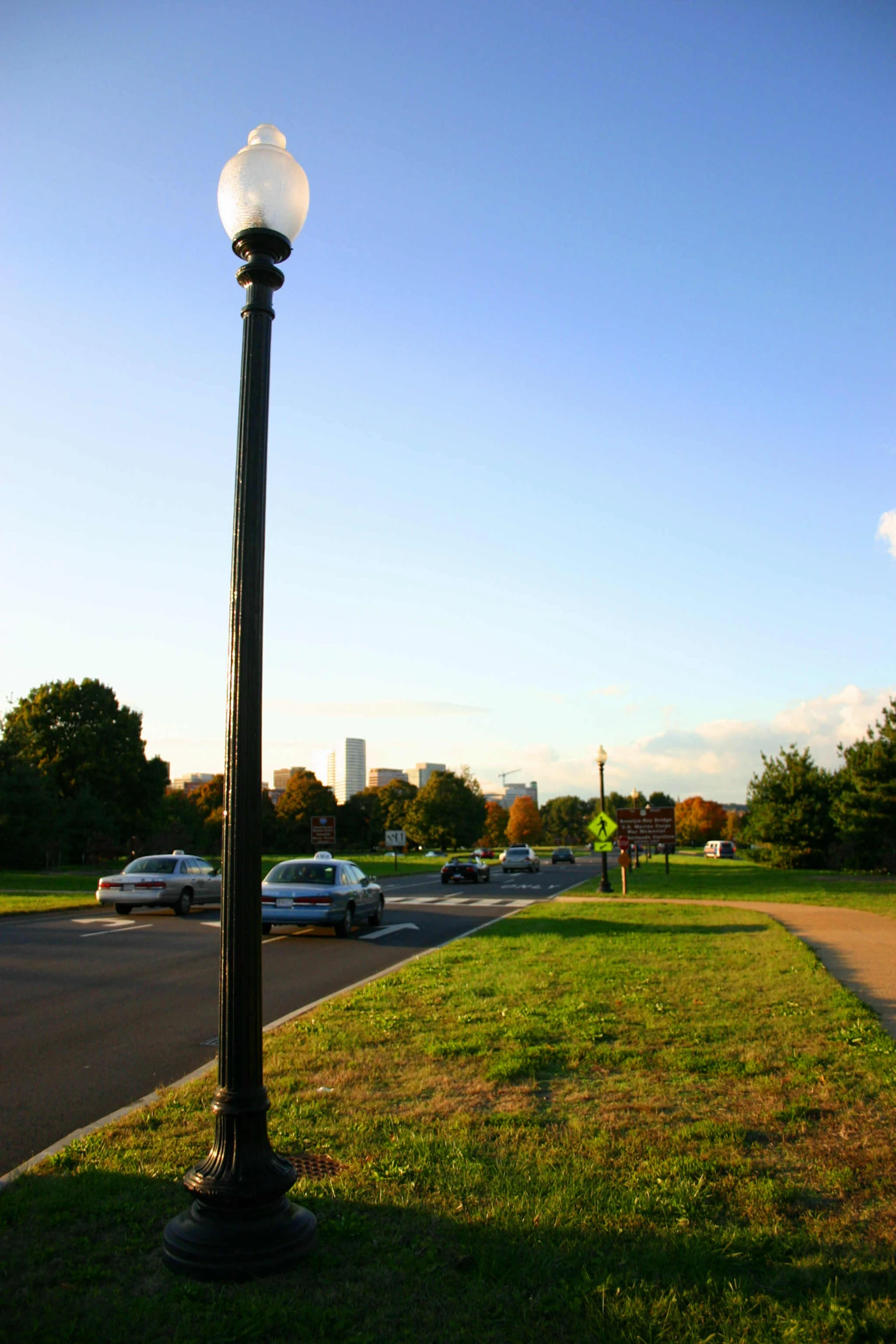 a street light sitting on top of a grass covered field