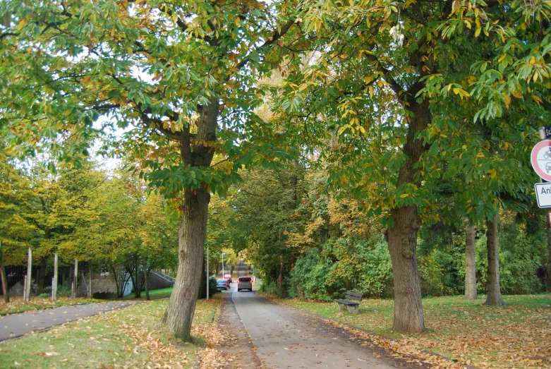 a street sign and trees near by