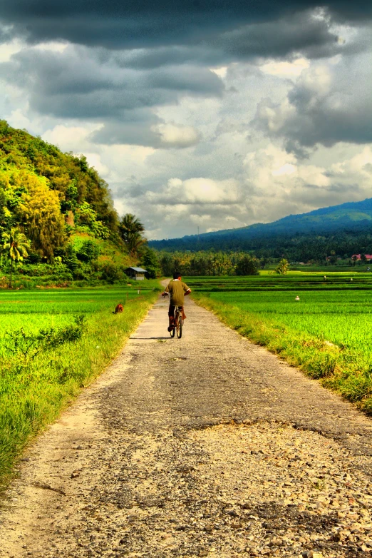 the person is riding down the road on his bicycle